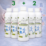 Moringa Concentrate Extract for Joint Pain Relief – with Devil’s Claw