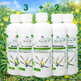 Moringa Concentrate with African Potato – Immune & Inflammation Support (Liquid Extract)