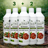 Moringa Concentrate with Red Reishi – Ultimate Wellness Elixir