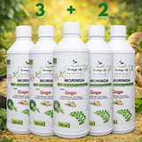 Moringa + Ginger Concentrate – Digestive & Anti-Inflammatory Support