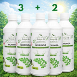 Moringa Super Juice Concentrate – Daily Nutrition in Every Drop