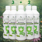 Moringa Concentrate Extract for Immune Support with added Echinacea