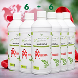 Moringa Concentrate Extract for Immune Support – HIV & AIDS Wellness