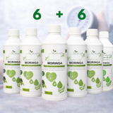 Heart Health Blend – Moringa Extract with Turmeric for Blood Pressure & Cholesterol