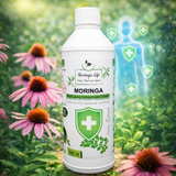 Moringa Concentrate Extract for Immune Support with added Echinacea