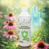 Moringa Concentrate Extract for Immune Support with added Echinacea