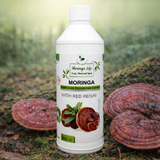 Moringa Concentrate with Red Reishi – Ultimate Wellness Elixir