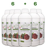 Moringa Concentrate Extract with added Red Reishi - Image #12