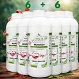 Moringa Concentrate for Iron Deficiency & Natural Energy Boost