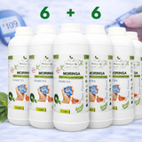 Moringa Concentrate Extract for Diabetes Support – with Gymnema Sylvestre