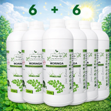 Moringa Super Juice Concentrate – Daily Nutrition in Every Drop