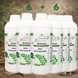 Moringa + Ashwagandha Boost – Natural Strength, Energy & Vitality Formula