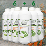Moringa + Cancer Bush Liquid Extract – Immune, Mood & Anti-Inflammatory Support
