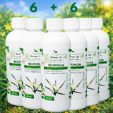 Moringa Concentrate with African Potato – Immune & Inflammation Support (Liquid Extract)