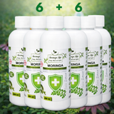 Moringa Concentrate Extract for Immune Support with added Echinacea