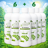 Moringa Super Juice Concentrate – Daily Nutrition in Every Drop