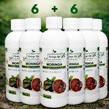 Moringa Concentrate with Red Reishi – Ultimate Wellness Elixir