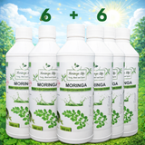 Moringa Super Juice Concentrate – Daily Nutrition in Every Drop