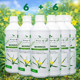 Moringa Concentrate with African Potato – Immune & Inflammation Support (Liquid Extract)