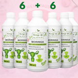 Moringa Concentrate Extract – Natural Menopause Support