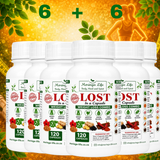 Moringa Lost Capsules Wellness Blend - with Moringa Powder, Fenugreek Seed Powder, Ginger Powder, Hibiscus Flower Powder, Black Pepper, Cayenne Pepper Powder and Cinnamon Powder