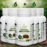 Moringa Capsules x 120 with Added Red Reishi – Immune & Energy Support