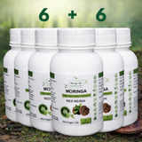 Red Reishi Capsules x 60 – Immune & Stress Support