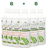 Moringa Concentrate Extract with Cancer Bush / Kankerbos - Image #4
