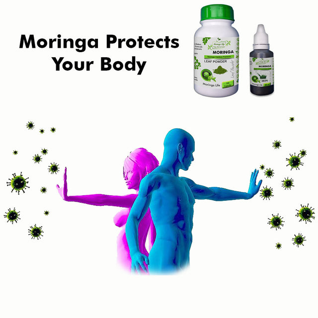 Moringa-Protects-your-Body