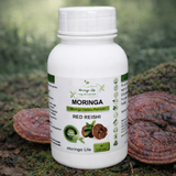 Red Reishi Capsules x 60 – Immune & Stress Support