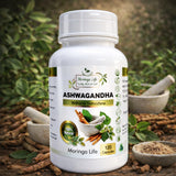 Ashwagandha Capsules x 120 – Natural Stress Relief & Hormone Balance