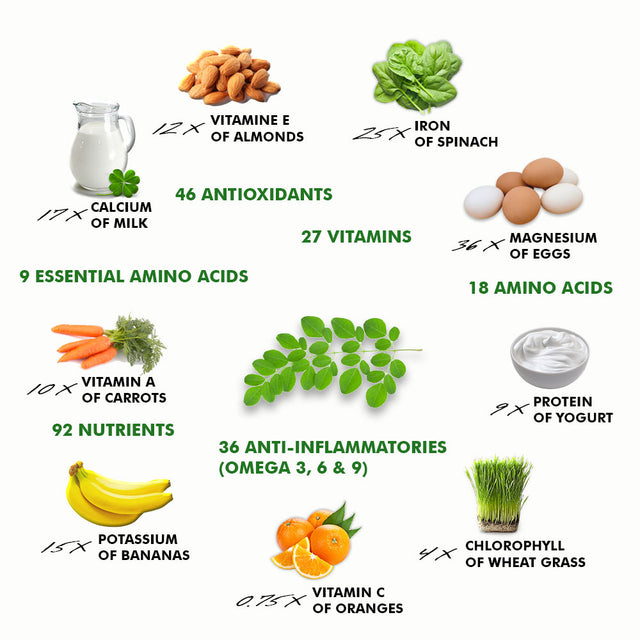 Moringa-Very-Nutritious