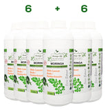 Moringa Concentrate Extract with Cancer Bush / Kankerbos - Image #8