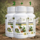 Ashwagandha Capsules x 120 – Natural Stress Relief & Hormone Balance - Moringa Life