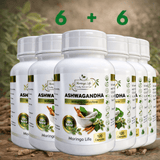 Ashwagandha Capsules x 120 – Natural Stress Relief & Hormone Balance - Moringa Life