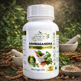 Ashwagandha Capsules x 120 – Natural Stress Relief & Hormone Balance - Moringa Life