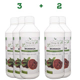 Moringa Concentrate Extract with added Red Reishi - Image #7