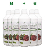 Moringa Concentrate Extract with added Red Reishi - Image #8