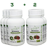 60 x Red Reishi Capsules - Image #3