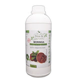 Moringa Concentrate Extract with added Red Reishi - Image #9