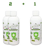 Moringa Concentrate Extract for Immune Support with added Echinacea - Image #2
