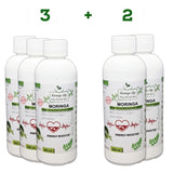 Moringa Concentrate Extract for Iron Deficiency (Anemia) and Energy Booster - Image #3