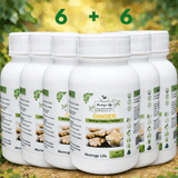 Ginger Capsules x 120 – Natural Anti-Inflammatory & Digestive Support - Moringa Life