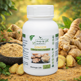 Ginger Capsules x 120 – Natural Anti-Inflammatory & Digestive Support - Moringa Life
