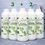 Heart Wellness Blend – Moringa Extract with Turmeric for Cardiovascular & Cholesterol Wellness - Moringa Life