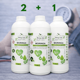 Heart Wellness Blend – Moringa Extract with Turmeric for Cardiovascular & Cholesterol Wellness - Moringa Life