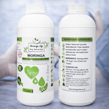 Heart Wellness Blend – Moringa Extract with Turmeric for Cardiovascular & Cholesterol Wellness - Moringa Life