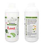 Lost - Weight Loss Combo - Moringa Life