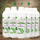 Moringa + Ashwagandha Boost – Natural Strength, Energy & Vitality Formula