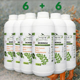 Moringa + Cancer Bush Extract – Immune, Mood & Anti-Inflammatory Wellness Support